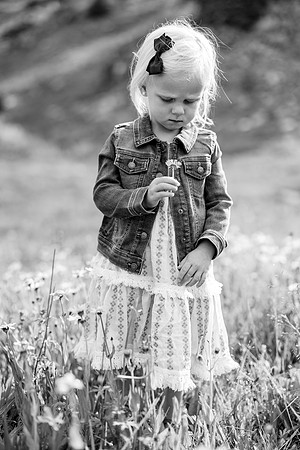 Johnson-2024-59