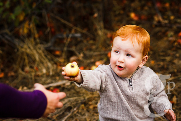 Estes_Family_Fall2016-Edited-105