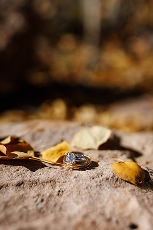 S-T_Detail-25
